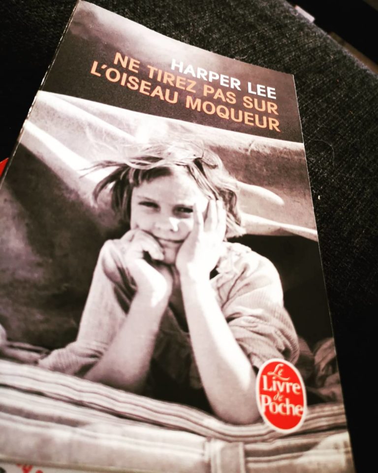 Ne Tirez Pas Sur L'oiseau Moqueur Résumé "Ne tirez pas sur l'oiseau moqueur" - Librairie d’occasion en ligne