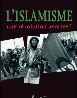L'Islamisme une révolution avortée ?