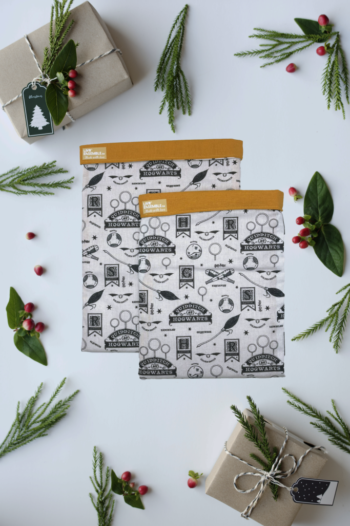 Pochettes Equipe de Quidditch Poufsouffle (Édition Limitée) Librairie