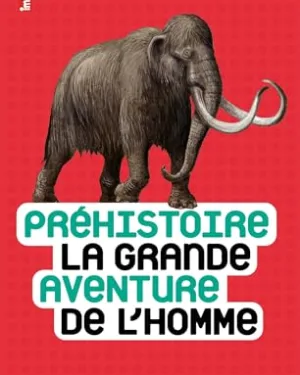 Préhistoire, la grande aventure de l'homme